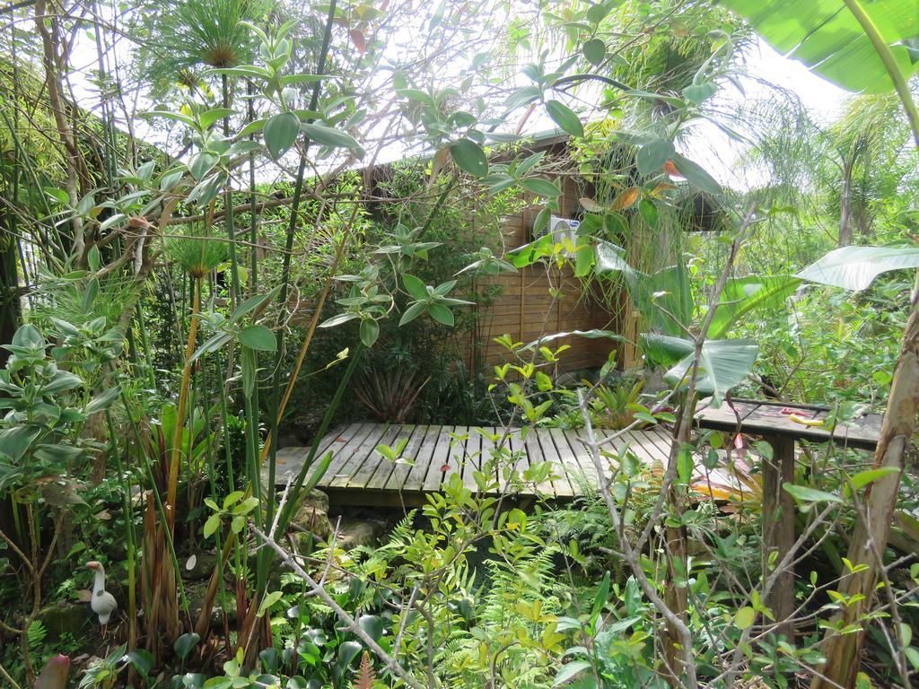 Equilibrio Natural Holiday home *
